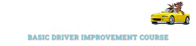 Michigan Online Basic Driver Improvement Course